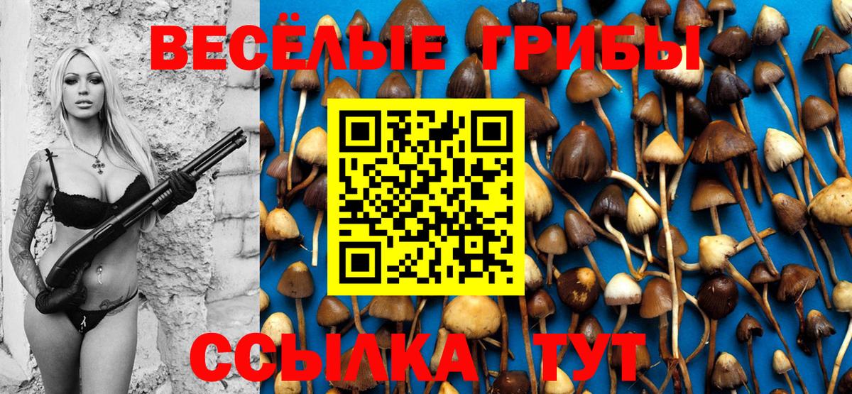 Верхний Уфалей  Галлюциногенные грибы Magic Shrooms  Вход с VPN  Псилоцибиновые грибы Psilocybine cubensis 