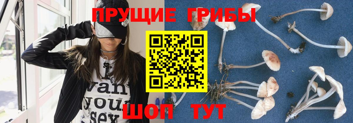 Галлюциногенные грибы MAGIC MUSHROOMS Верхний Уфалей